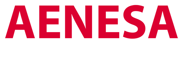 aenesa - smart energy systems